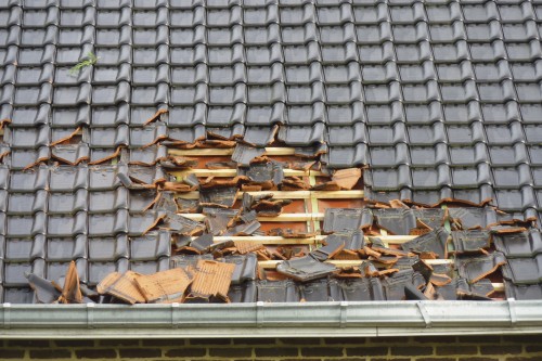 Signs it’s Time to Replace Your Shingled Roof