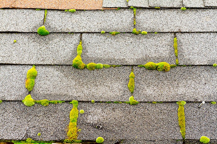 How to Prevent Moss Growth on a Roof